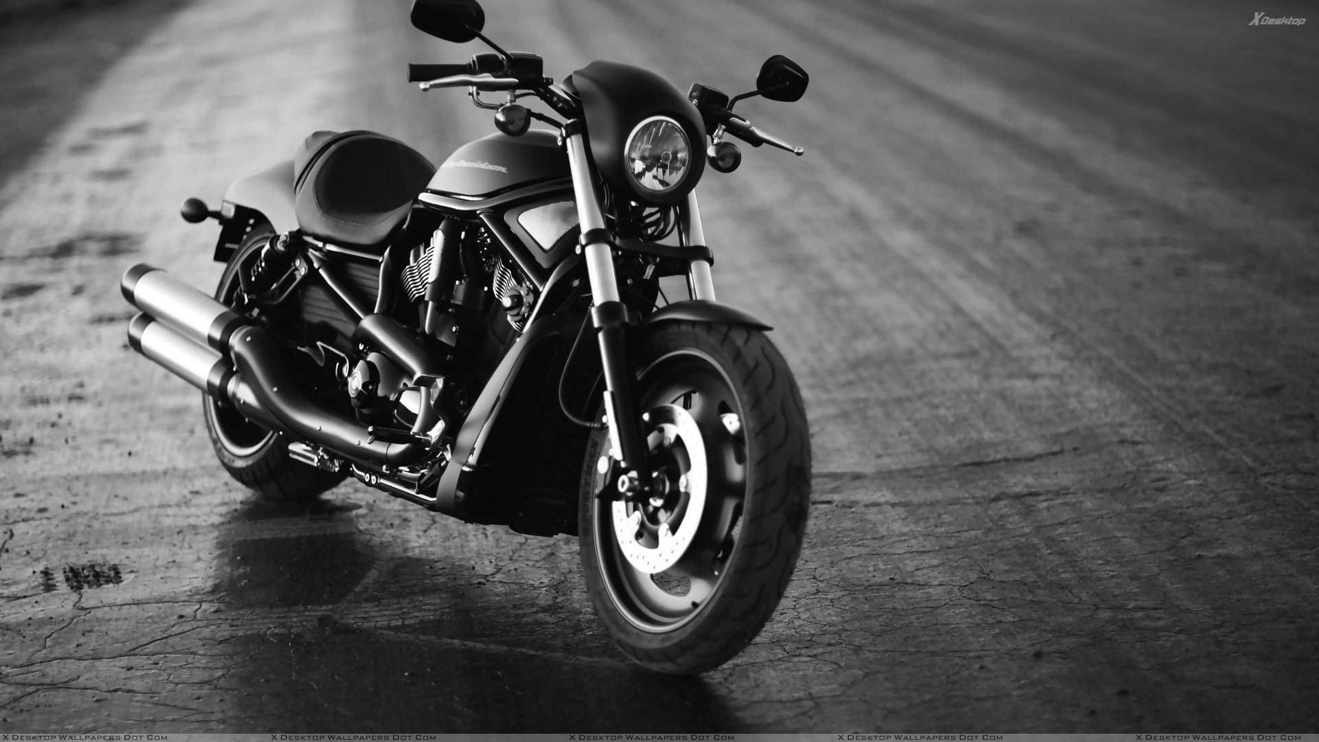 Harley Davidson Vrscdx Night Rod Wallpaper