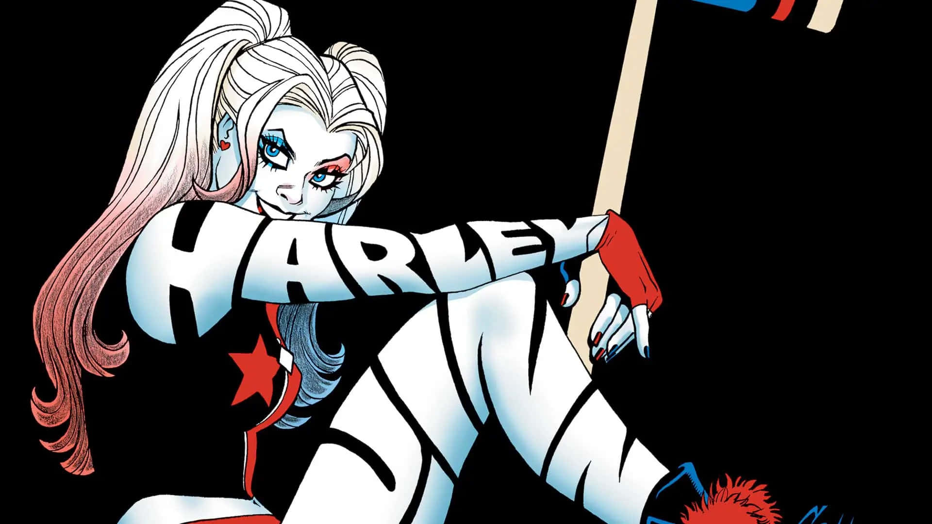 Sfondocon Versione Cartoon Di Harley Quinn.