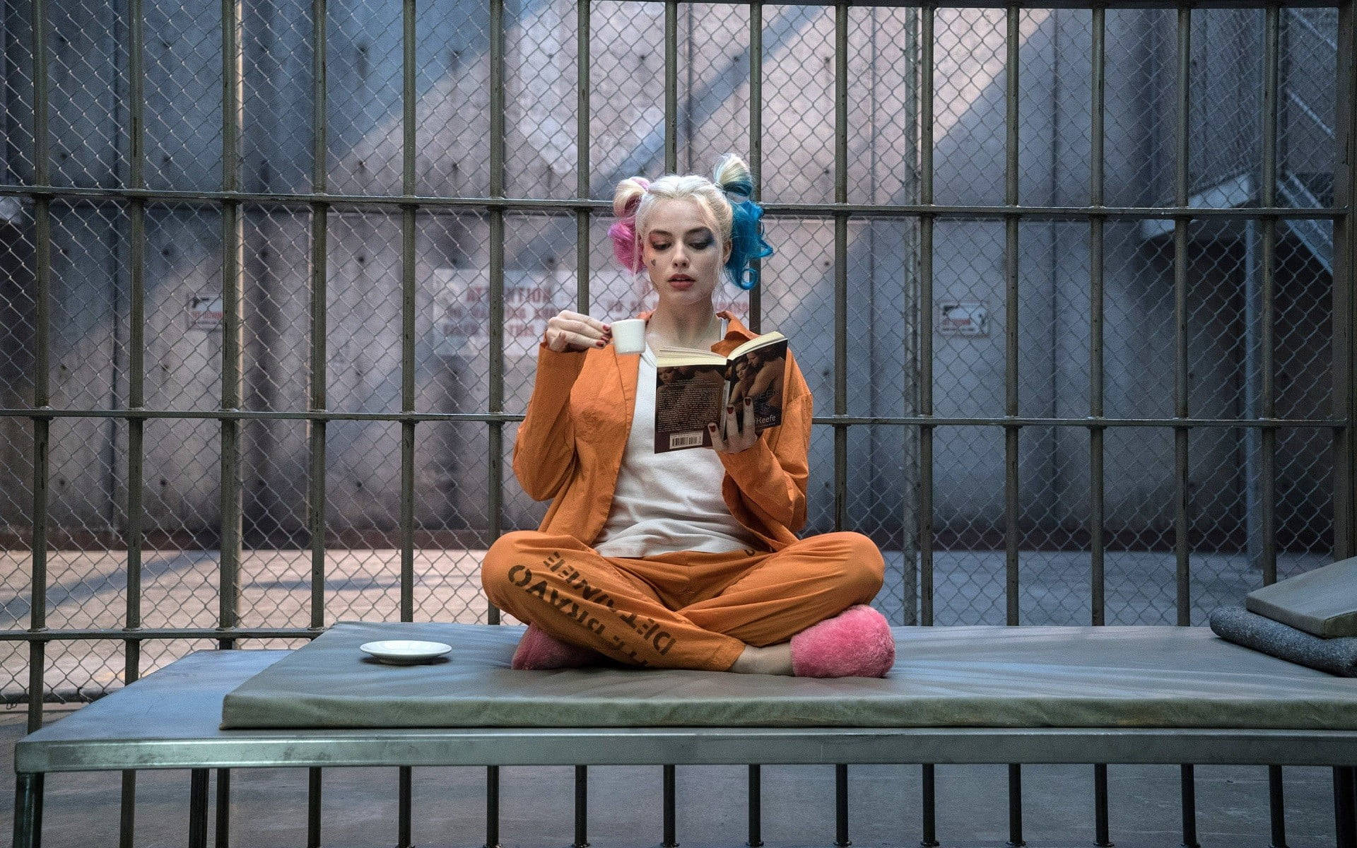 Harley Quinn Reading Book Inside Cell Wallpaper
