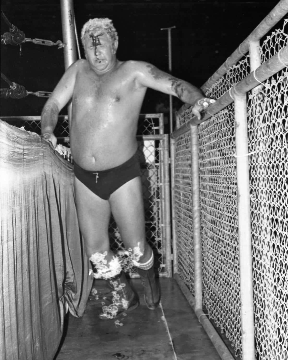 Harley Race Aftermath Of Fight Wallpaper