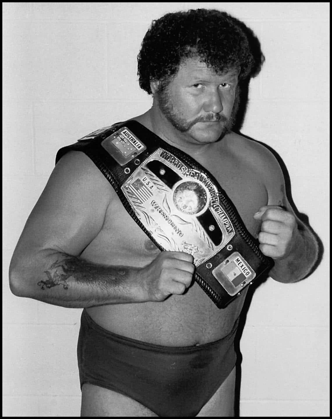 Harley Race Black And White Image With NWA Belt Wallpaper