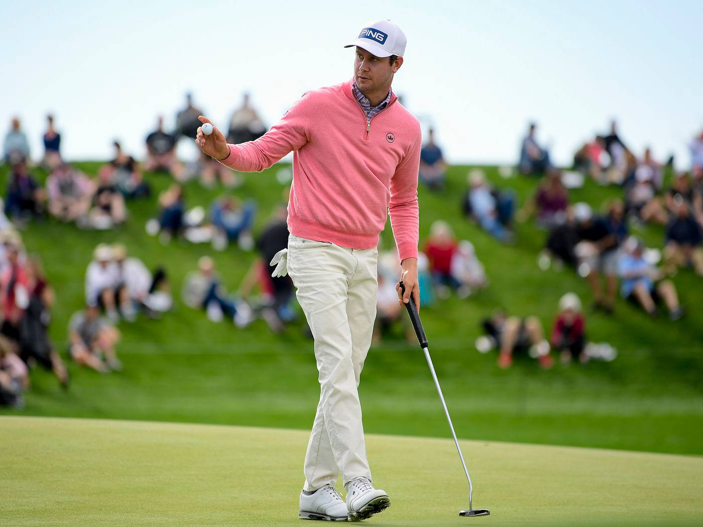Professional Golfer Harris English Sporting a Pink Shirt Wallpaper