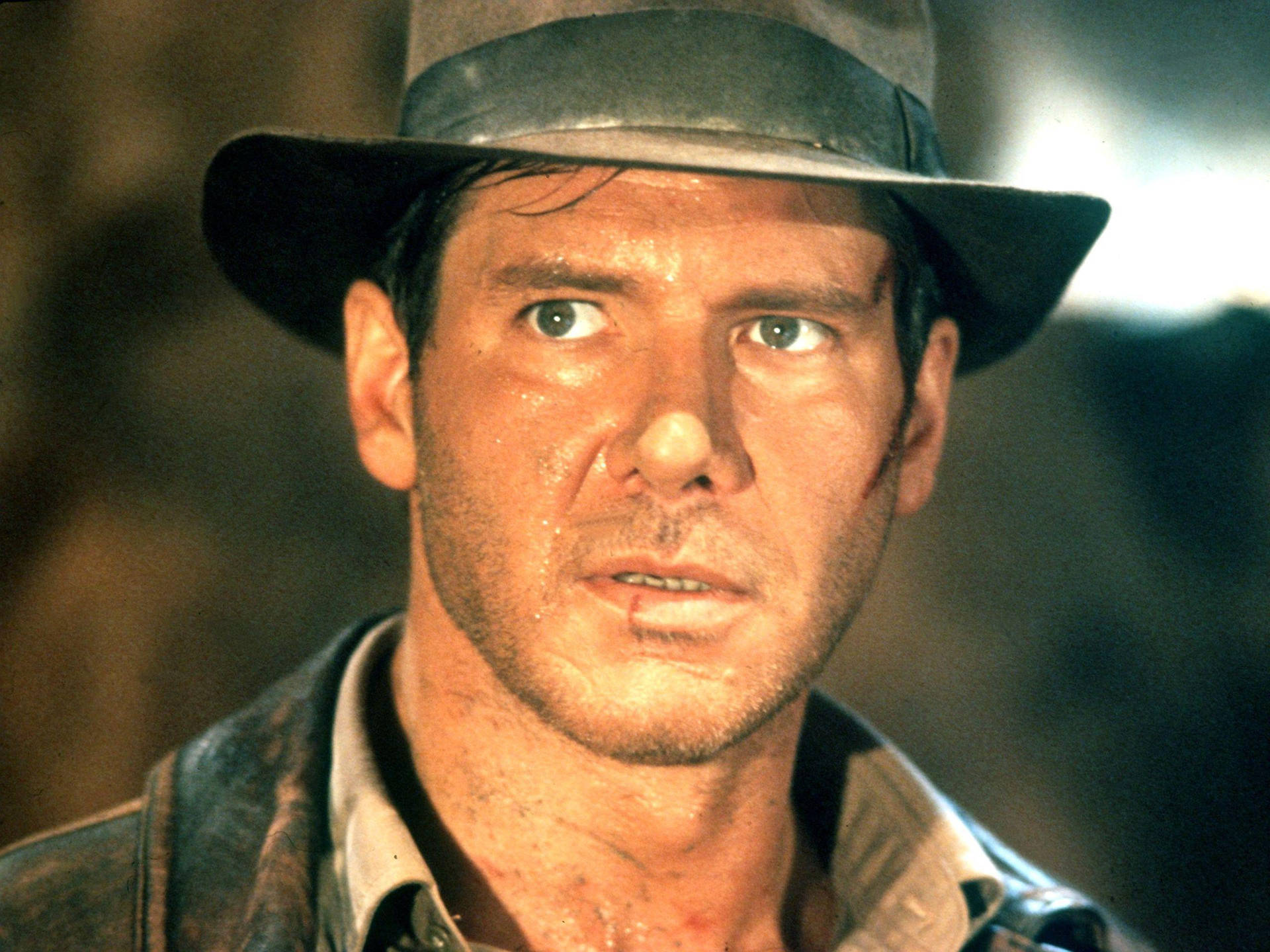 Harrison Ford Indiana Jones Archeologist Wallpaper