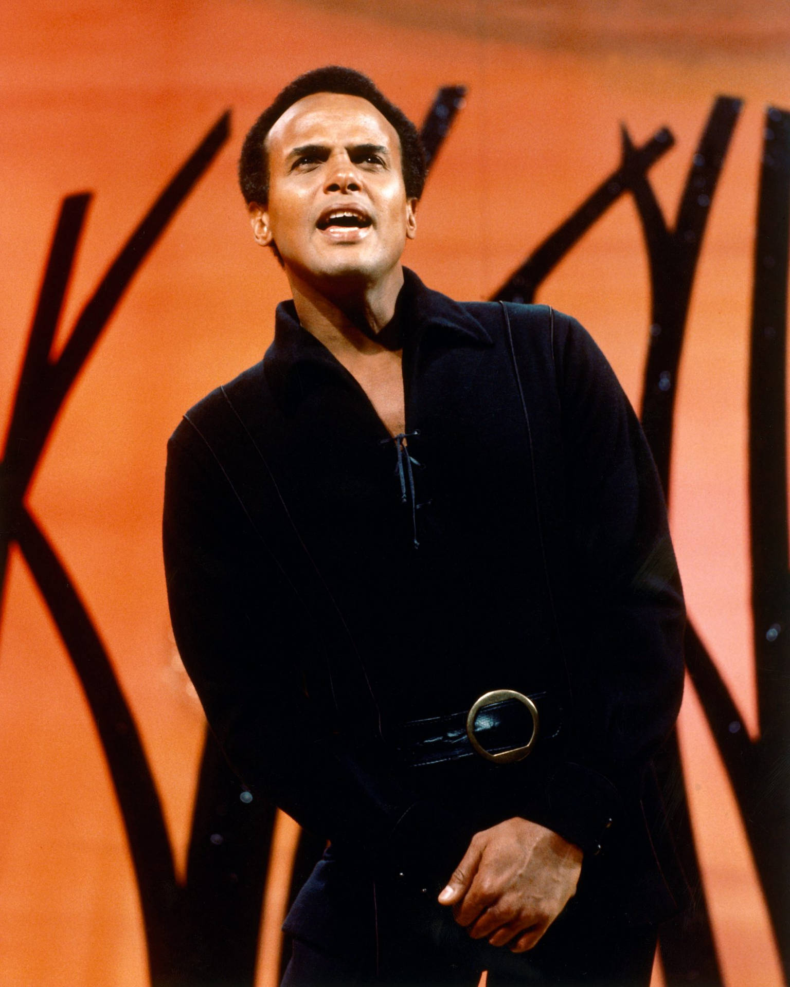 Harry Belafonte 1965 Performance Wallpaper