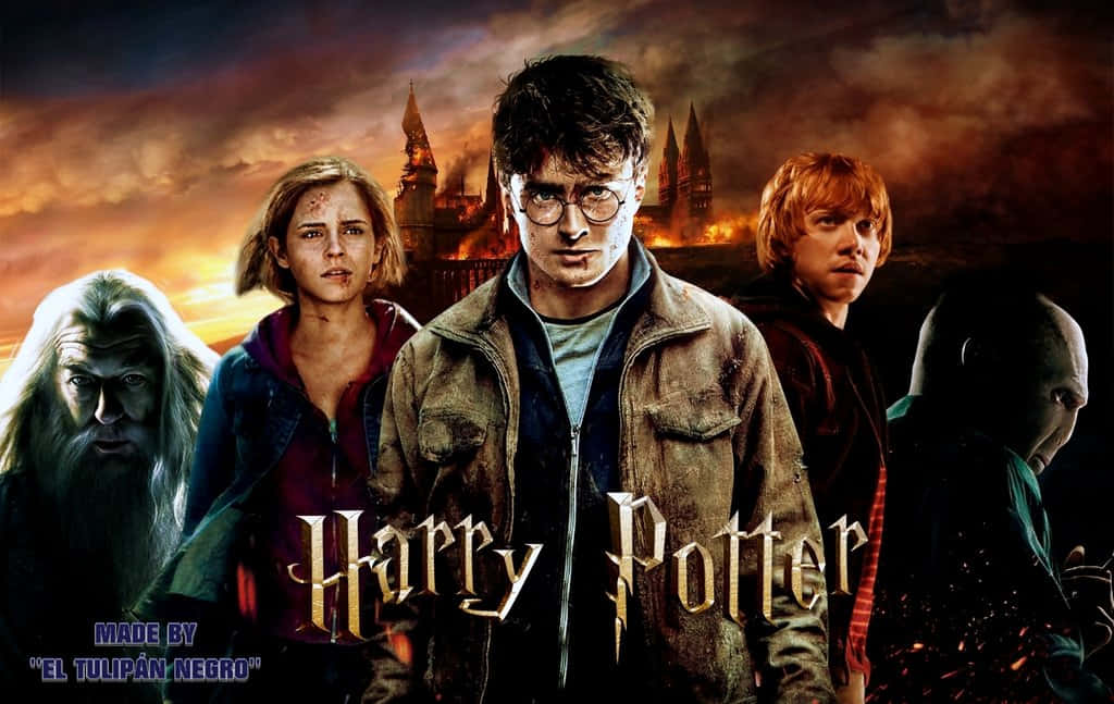 Keywords: Harry Potter, J.K. Rowling, Characters, Wizarding World, Magical Adventure, Hermione Granger, Ron Weasley, Professor Dumbledore Wallpaper