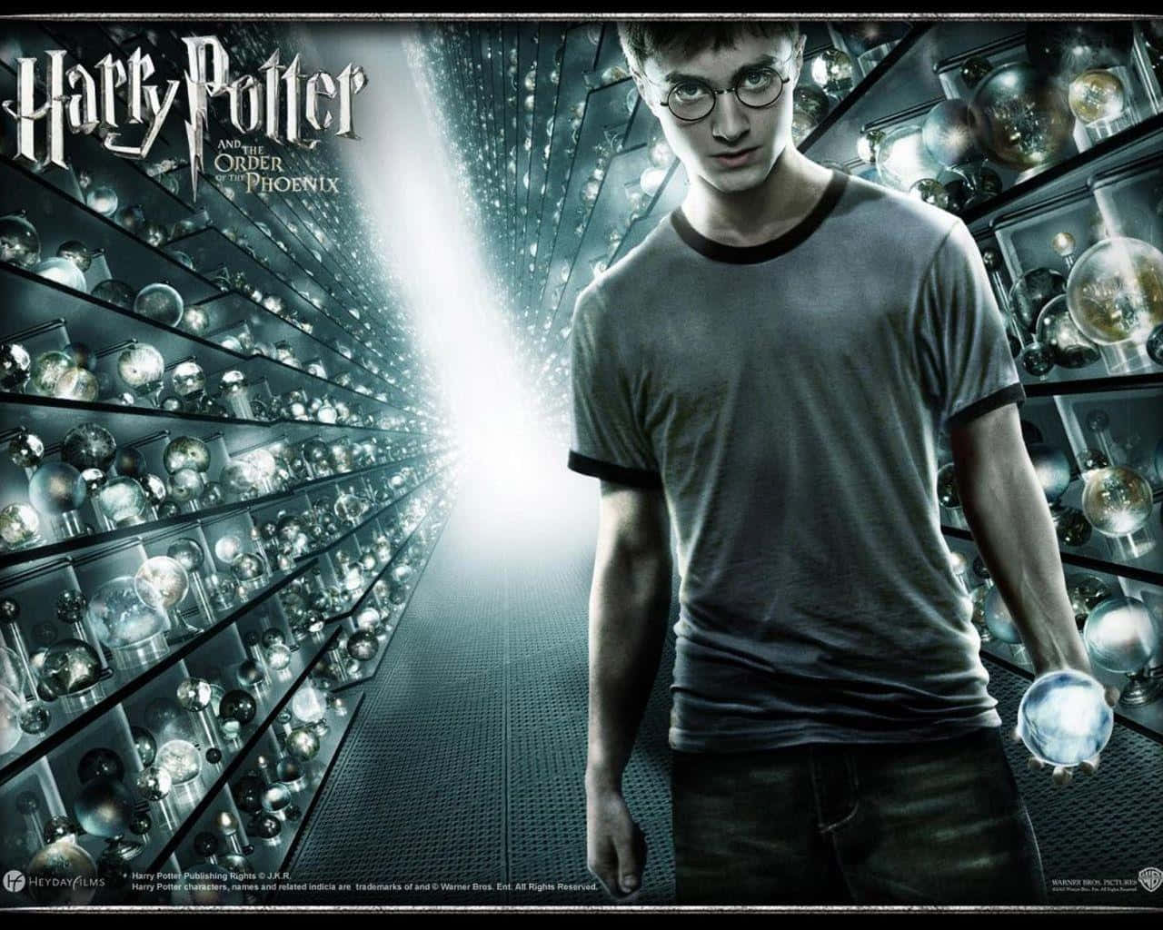 ¡todostus Personajes Favoritos De Harry Potter En Un Solo Lugar! Fondo de pantalla