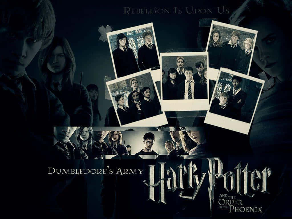 The Ensemble Cast Of Harry Potter Wallpaper