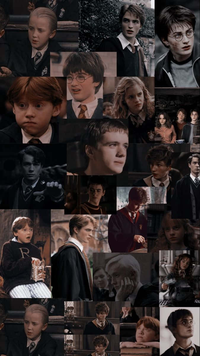 Umsonho Realizado Para Os Fãs - Todos Os Personagens De Harry Potter Em Uma Única Imagem! Papel de Parede
