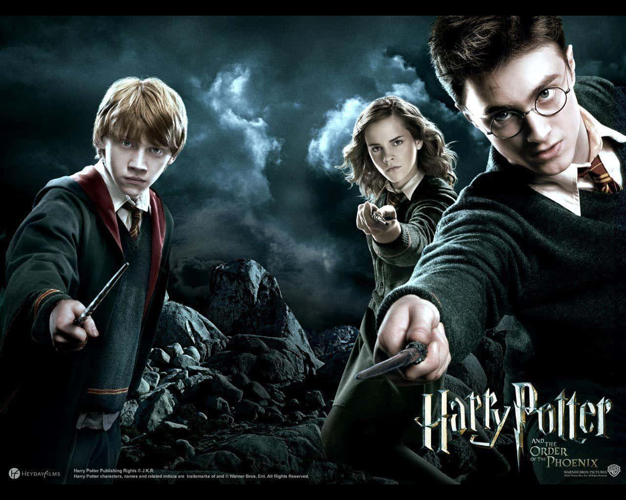 Harrypotter, Hermione, Ron, Todos Los Personajes Fondo de pantalla