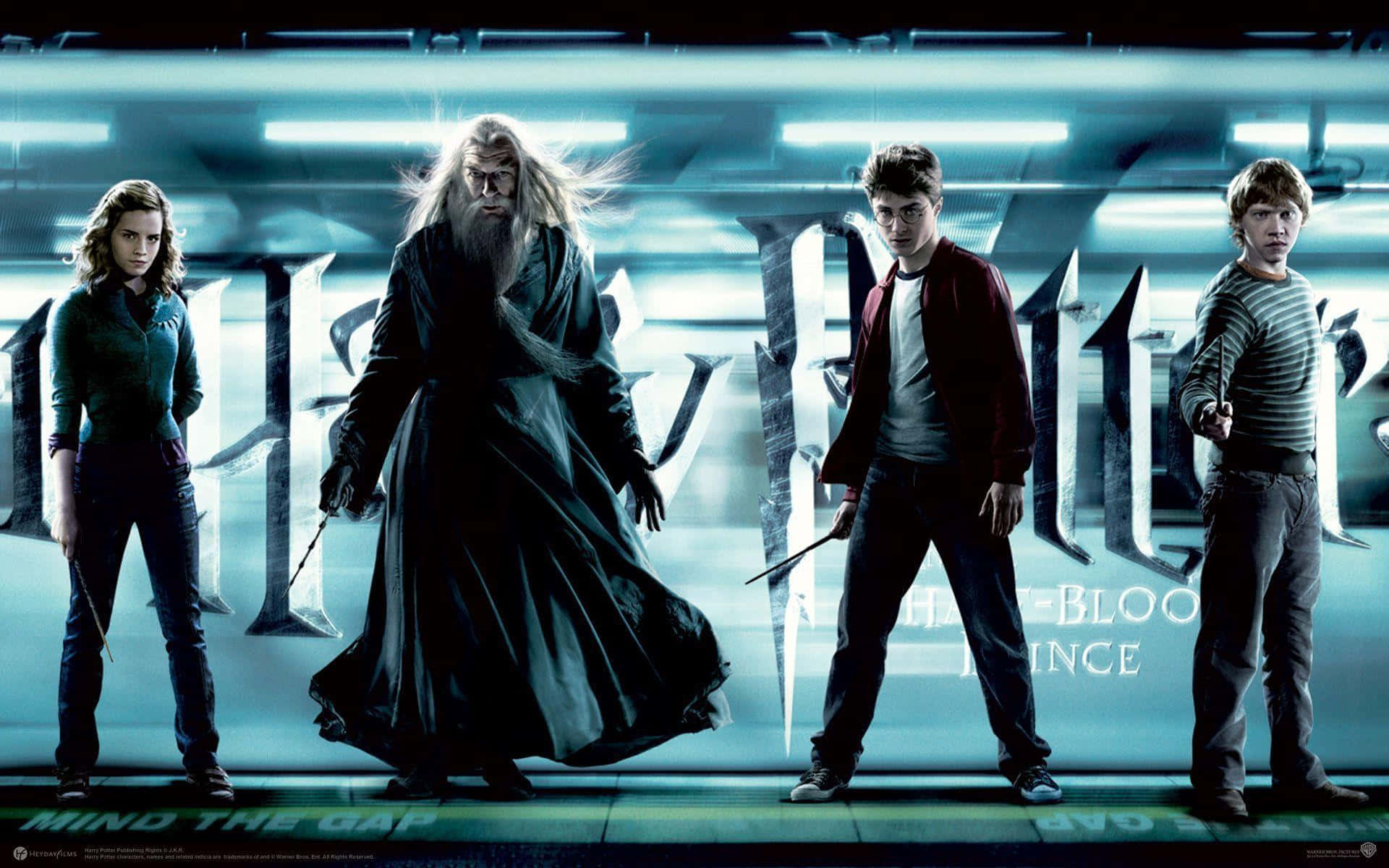 Alle karaktererne fra Harry Potter-franchisen sammen på én væg. Wallpaper