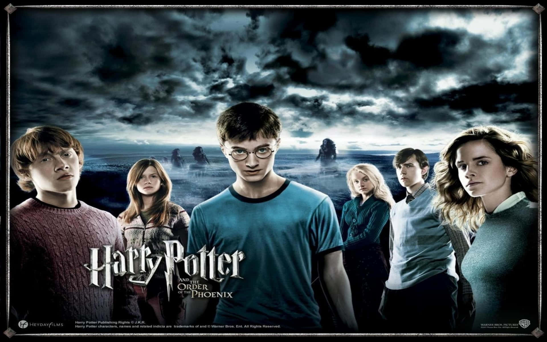 Fira20-årsjubileet Av Harry Potter - Alla Karaktärer Förenade. Wallpaper