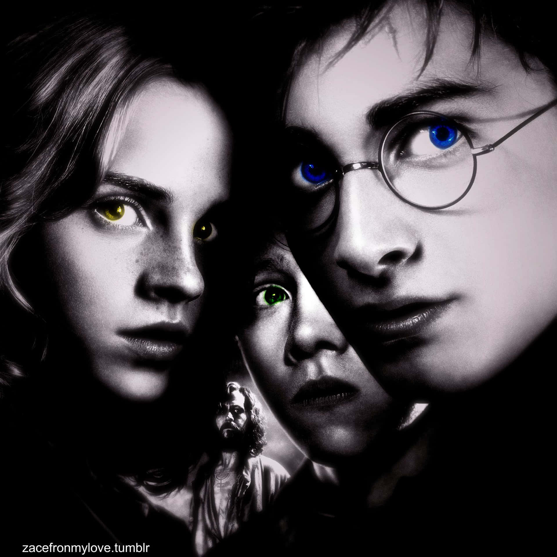 "The black and white magic of Harry Potter" Wallpaper