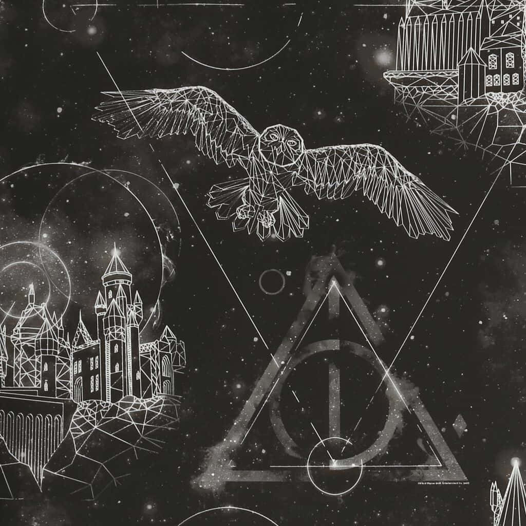 "The magical world of Harry Potter in black and white" Wallpaper