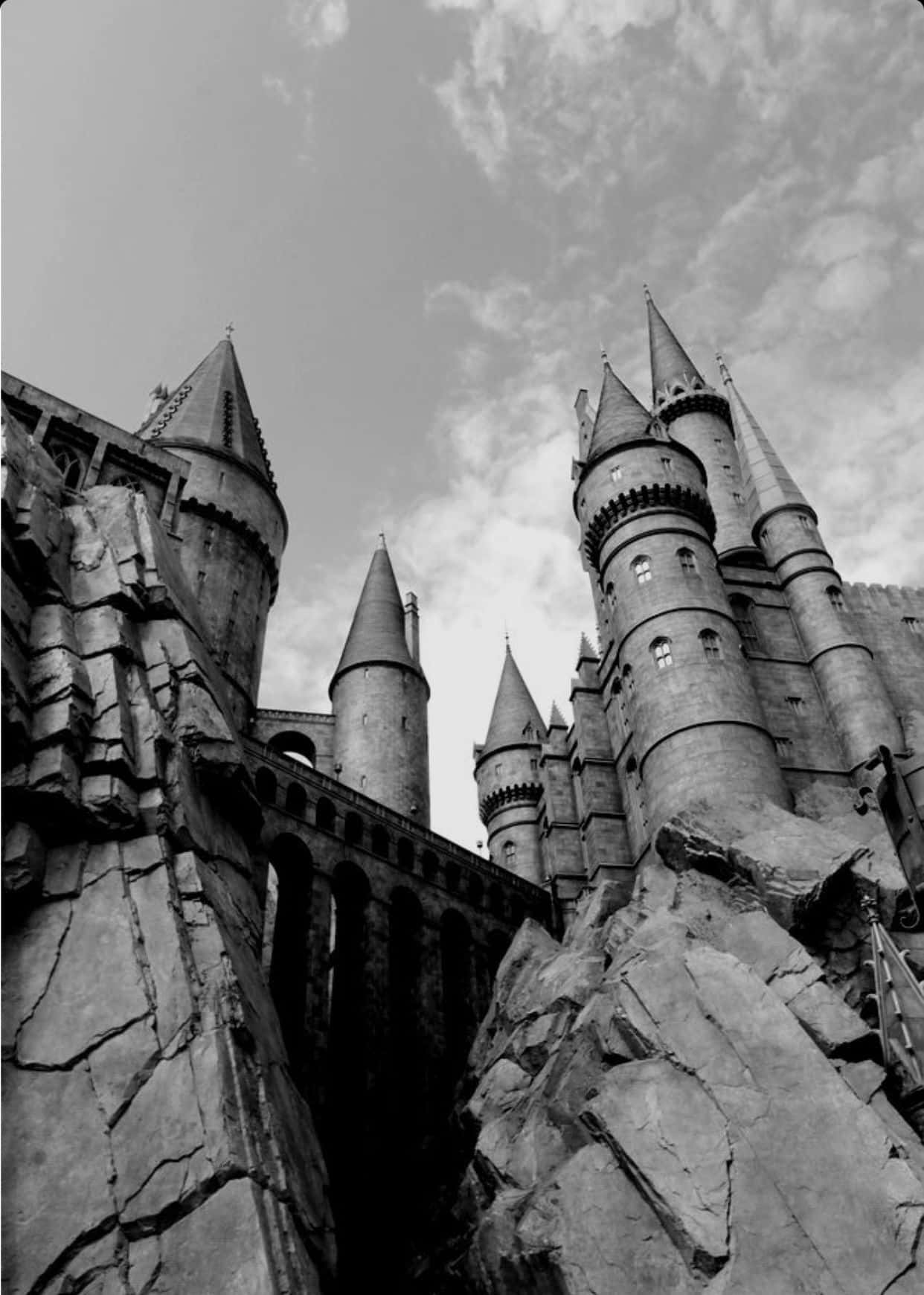 Affrontandoil Suo Destino - Harry Potter E Il Bianco E Nero Sfondo