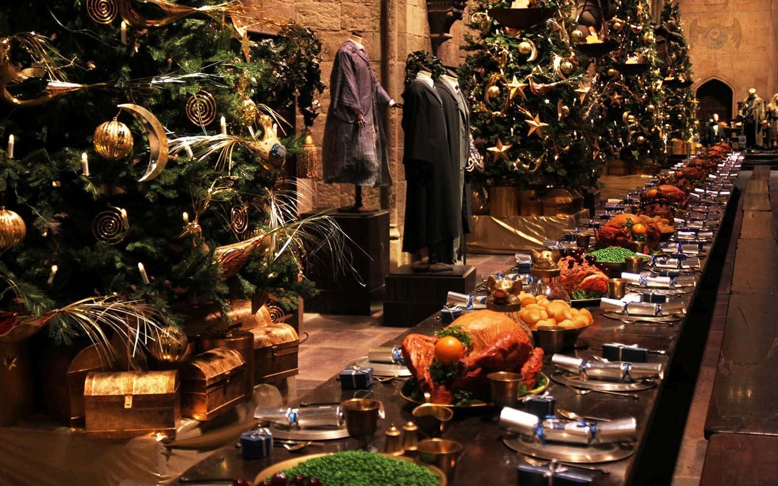 Fundode Tela De Natal Do Harry Potter Com Dimensões De 1600 X 1000.