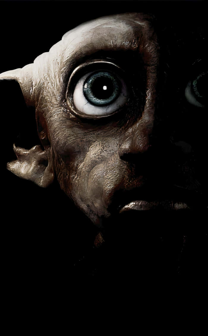 Harry Potter Dobby Wallpapers  Wallpaper Cave