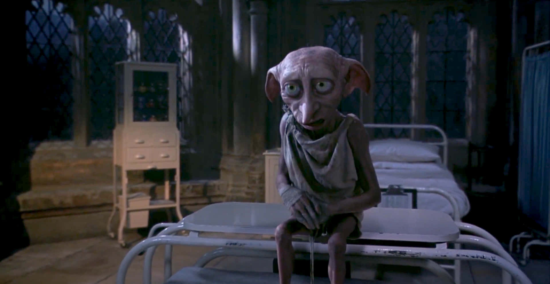 "Friend of Harry Potter, and House Elf, Dobby" Wallpaper