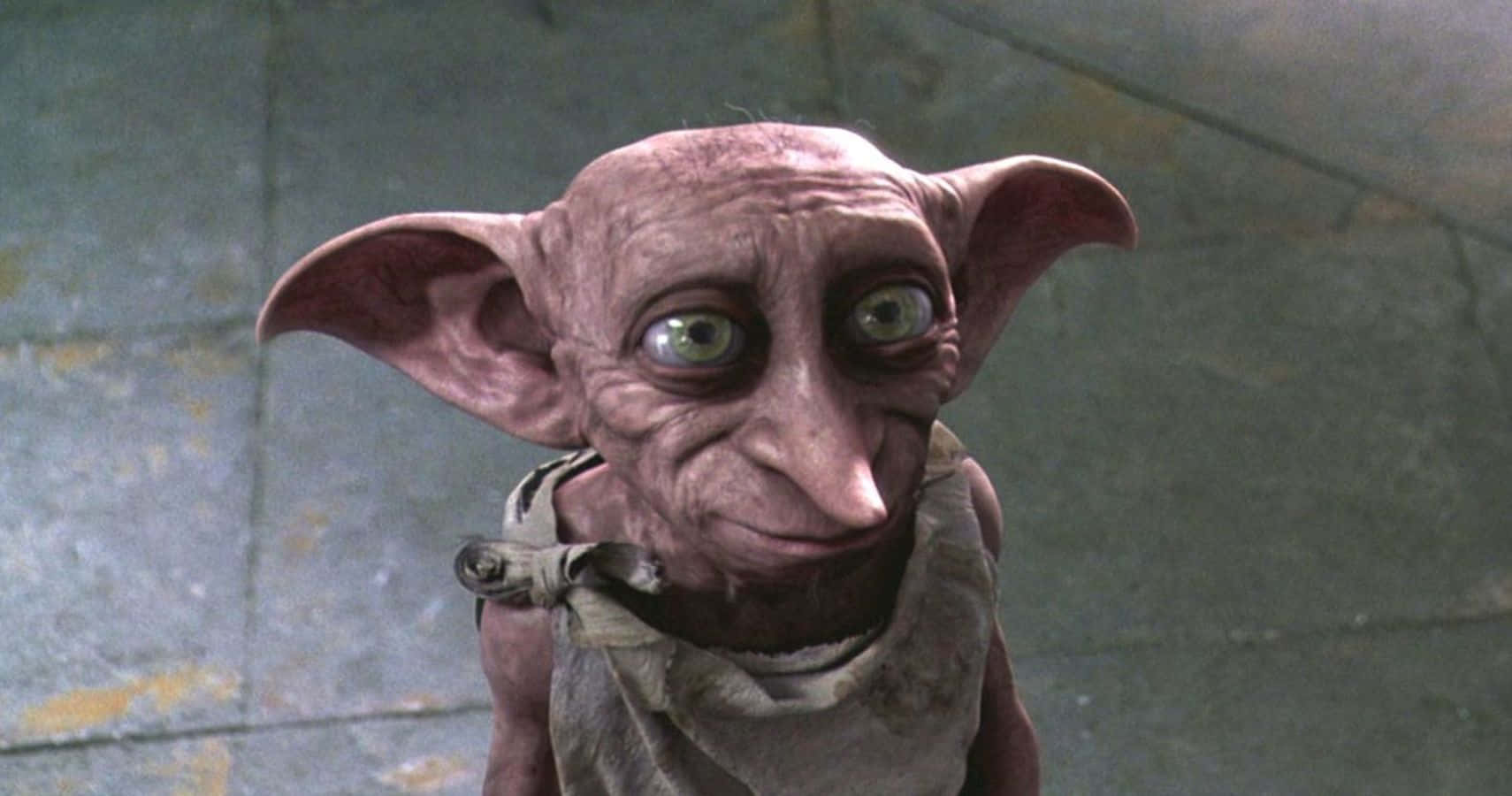 "Here's Dobby, a free elf from 'Harry Potter'" Wallpaper