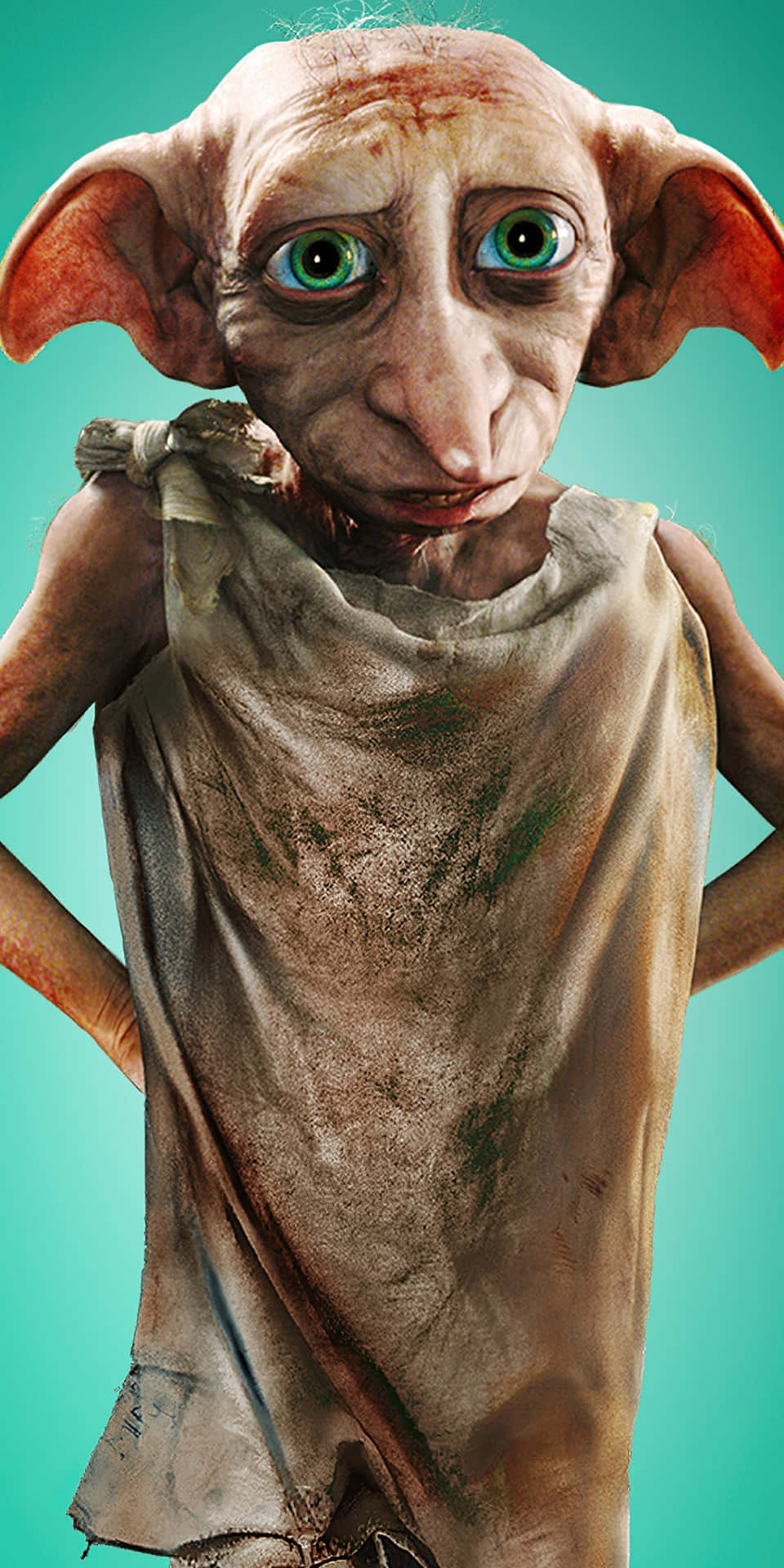 Saying Goodbye To Dobby The House-Elf Wallpaper