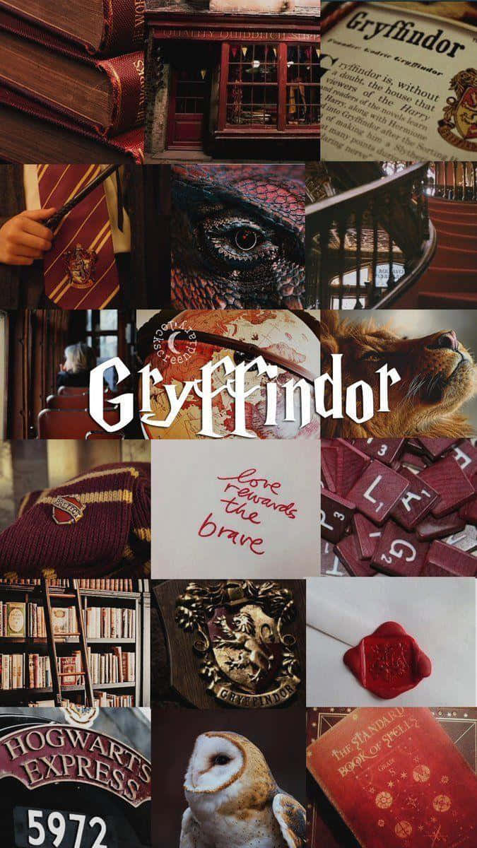 Harry Potter repræsentere Gryffindor hus med et sort slør klædt maleri. Wallpaper