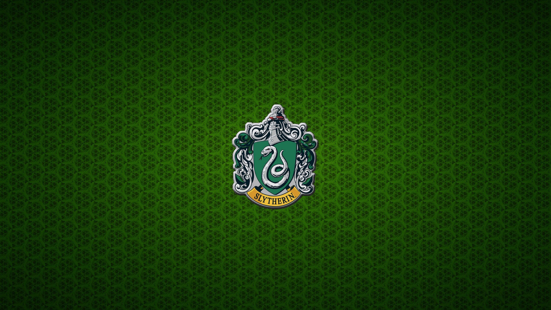 Harry Potter Houses Green Slytherin Coat Wallpaper