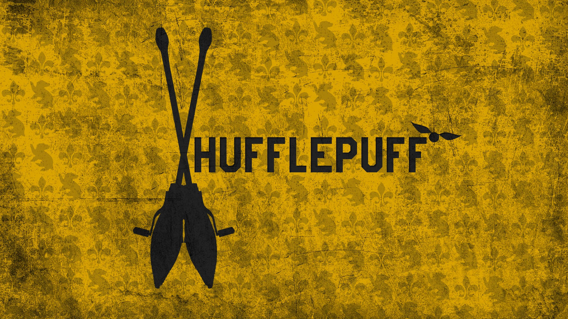 Harry Potter Houses Hufflepuff Quidditch Wallpaper