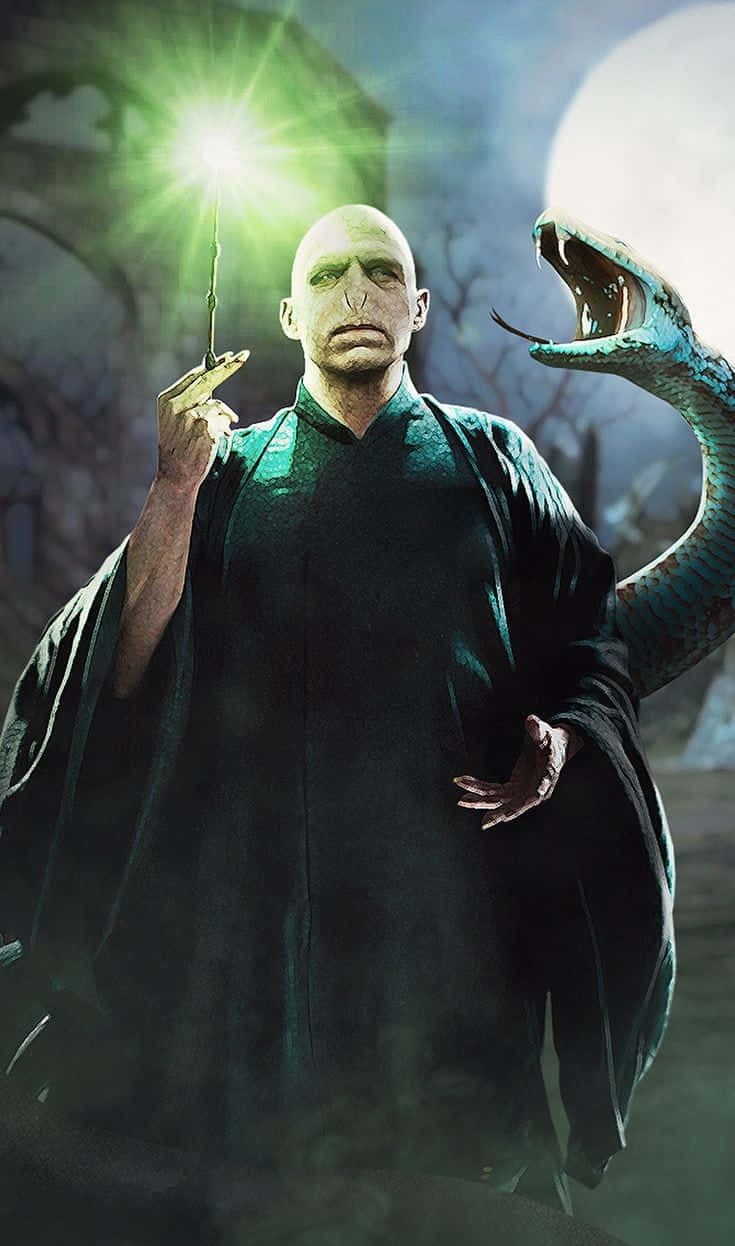 The chilling encounter with Nagini in Harry Potter Wallpaper