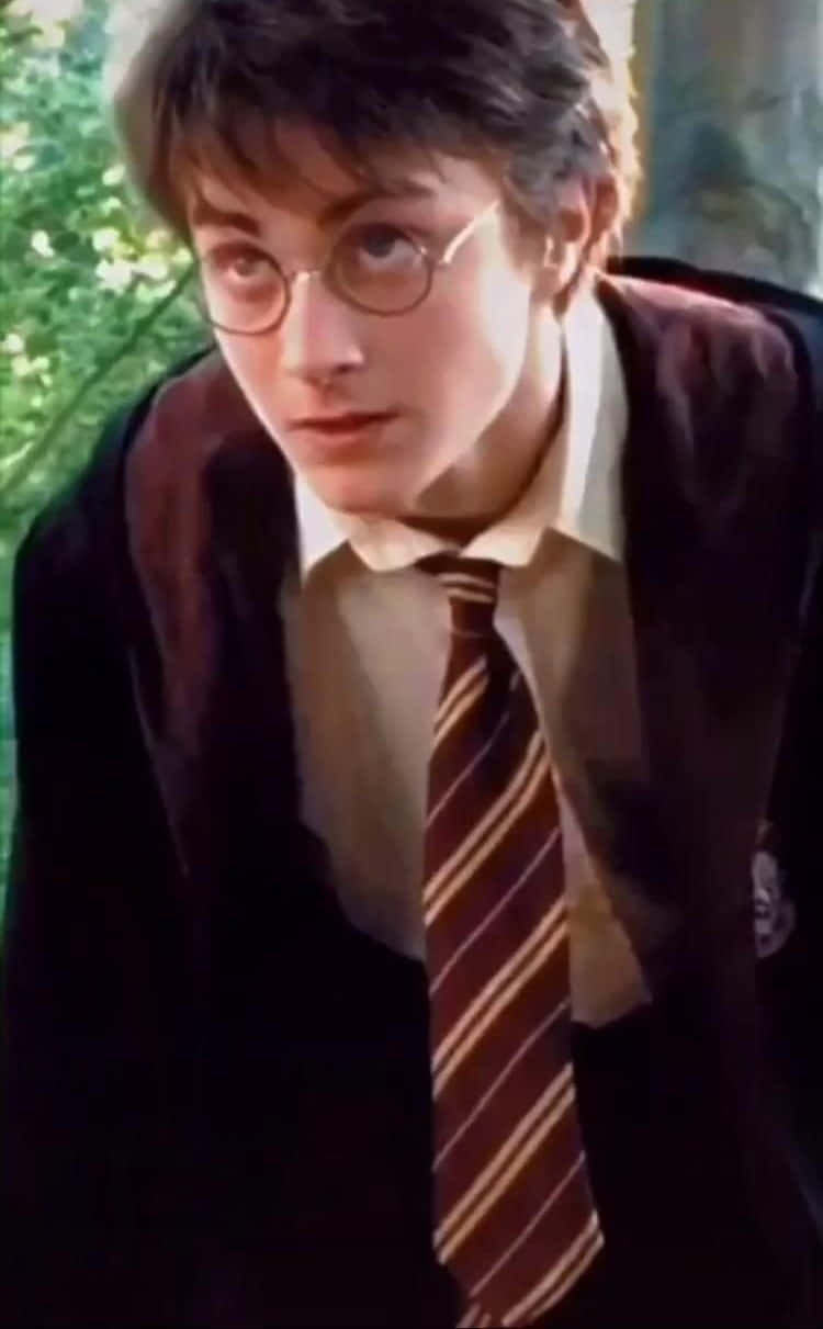 Fansder Harry-potter-serie Können Nur Davon Träumen, Die Vielen Magischen Wunder In Der Hogwarts-schule Für Hexerei Und Zauberei Zu Entdecken.
