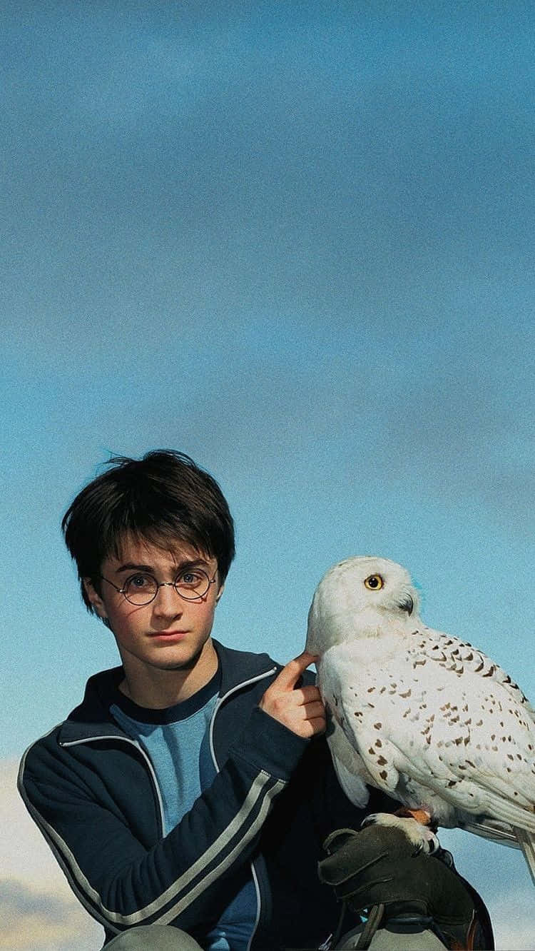 Erkundedie Magische Welt Von Harry Potter
