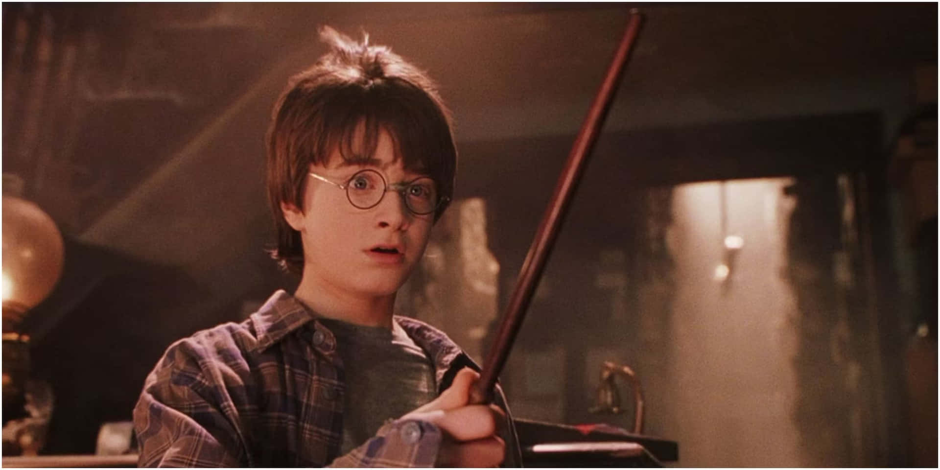 Harry Potter, the Boy Who Lived