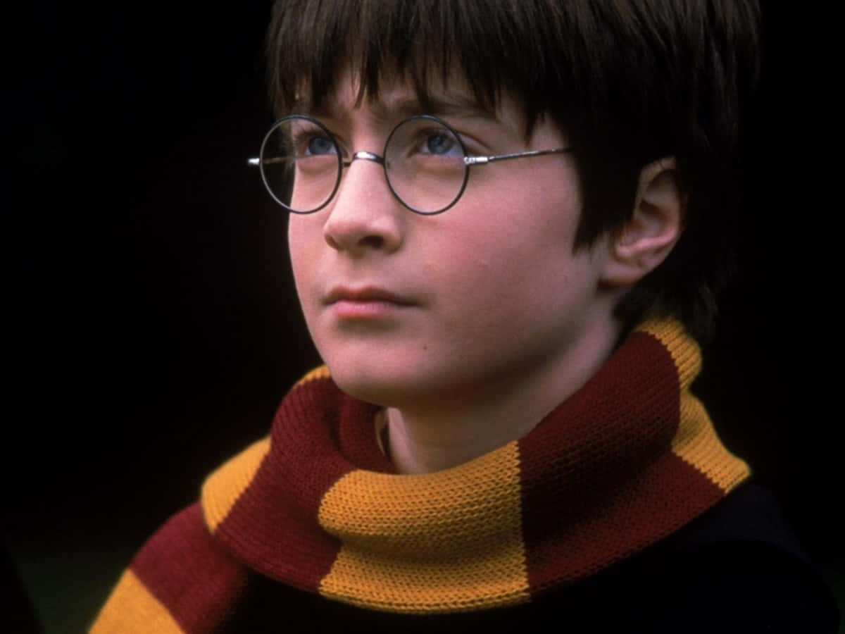 Show your loyalty with this stylish Harry Potter profile picture