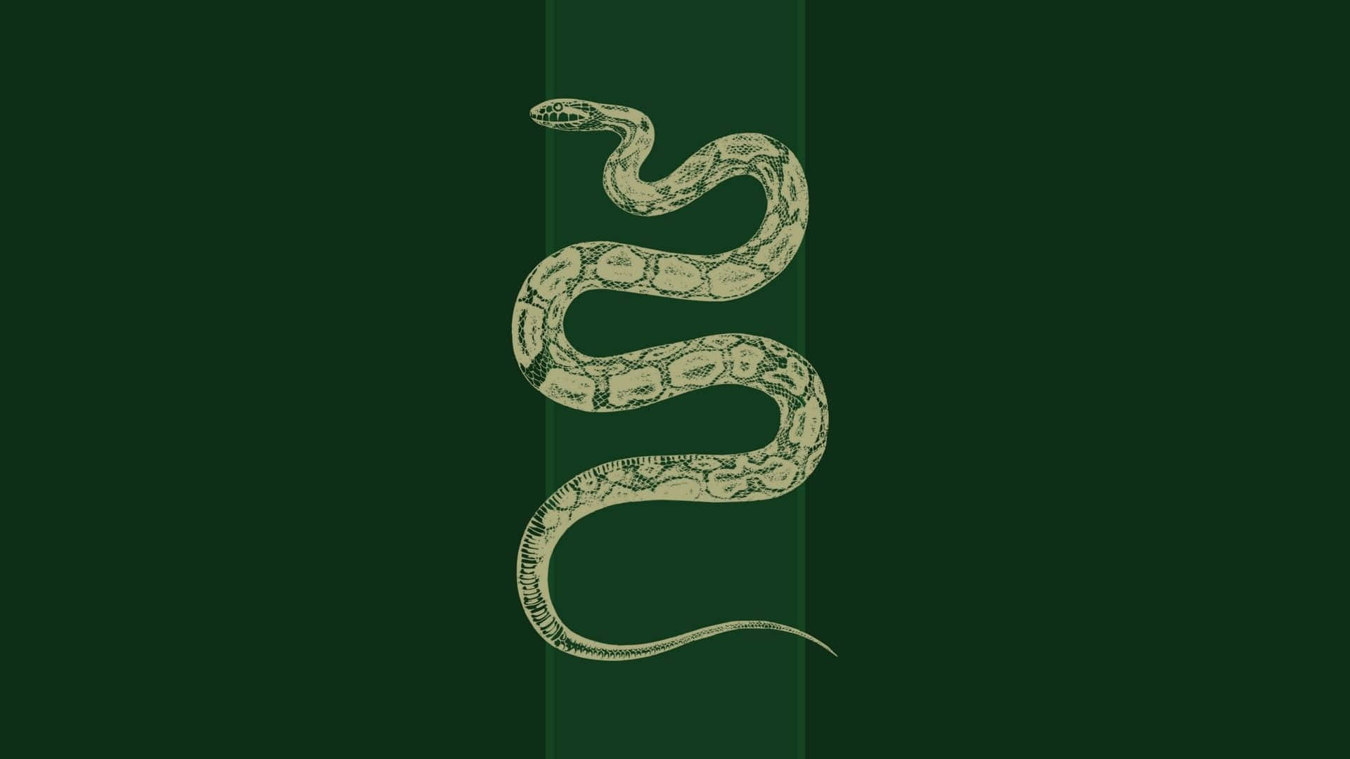 The Slytherin Serpent from Harry Potter Wallpaper