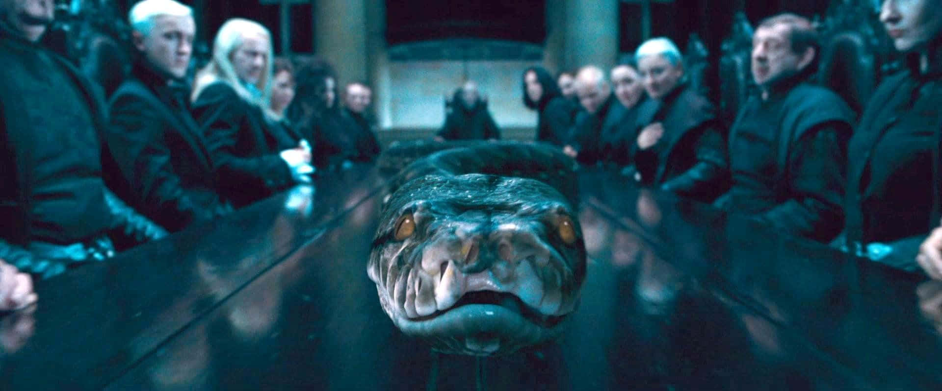 The Slytherin's Sensation: Harry Potter's Serpent Encounter Wallpaper