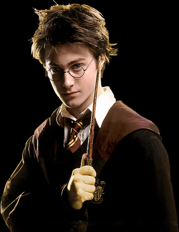 Harry Potter Wand Ready PNG