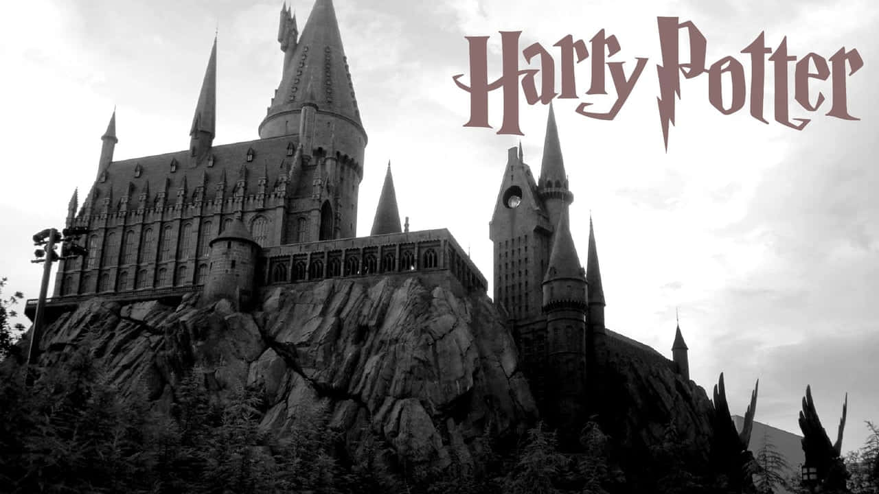 ¡acércateal Mundo Mágico De Harry Potter!