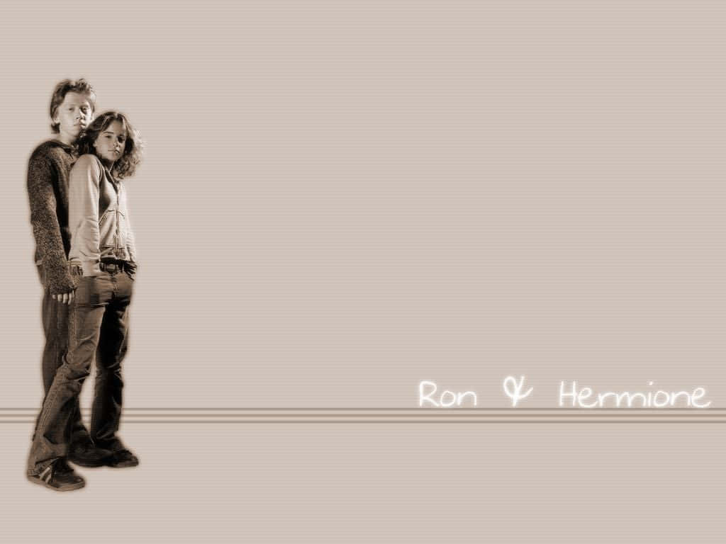 Ron And Hermione Harry Potter Zoom Background