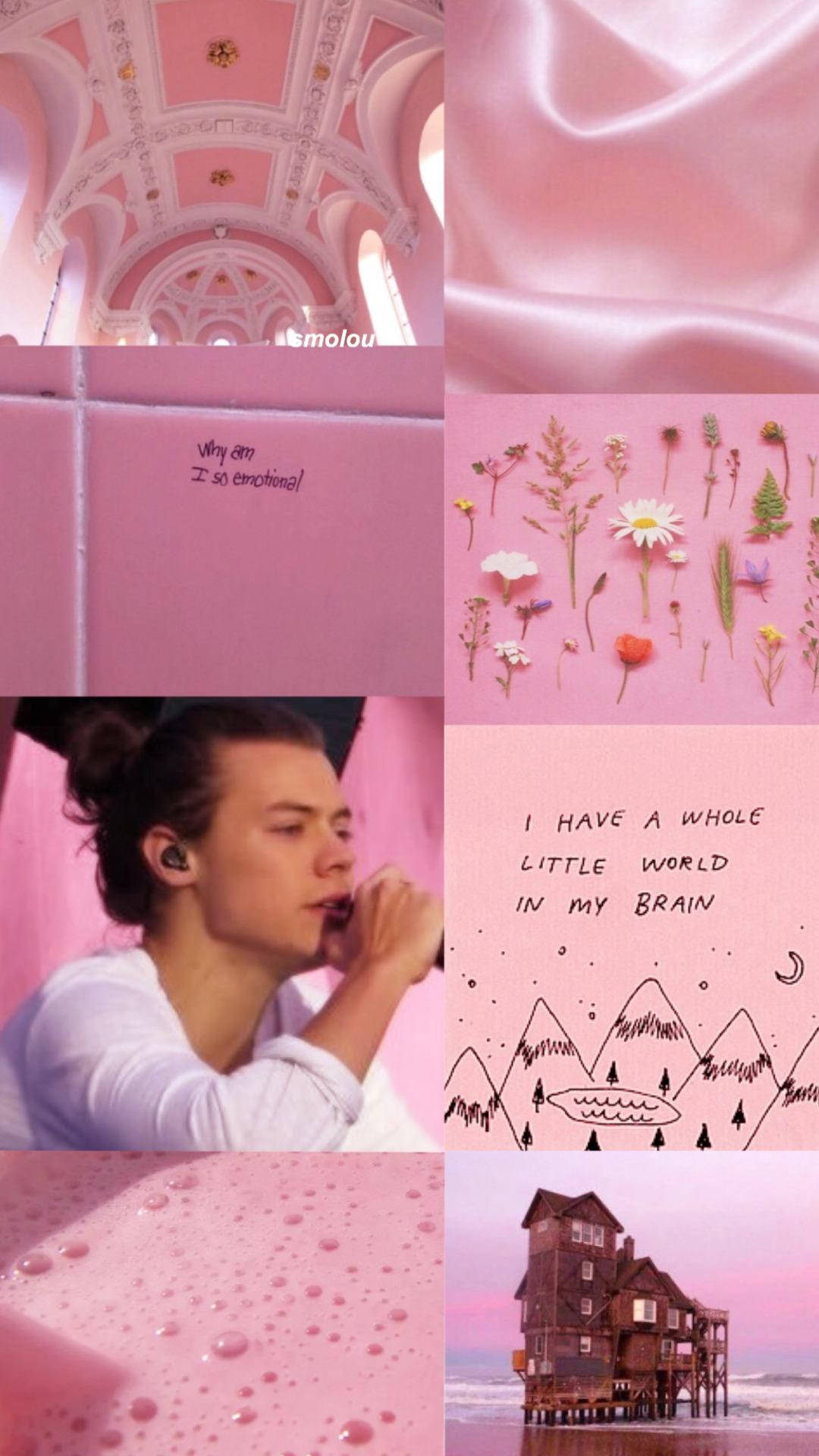 Download Harry Styles Aesthetic Pink Backdrop Wallpaper 
