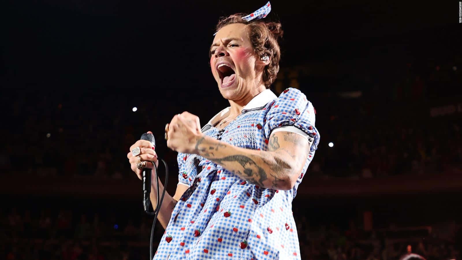 Harry Styles Brings Excitement to Music Scene