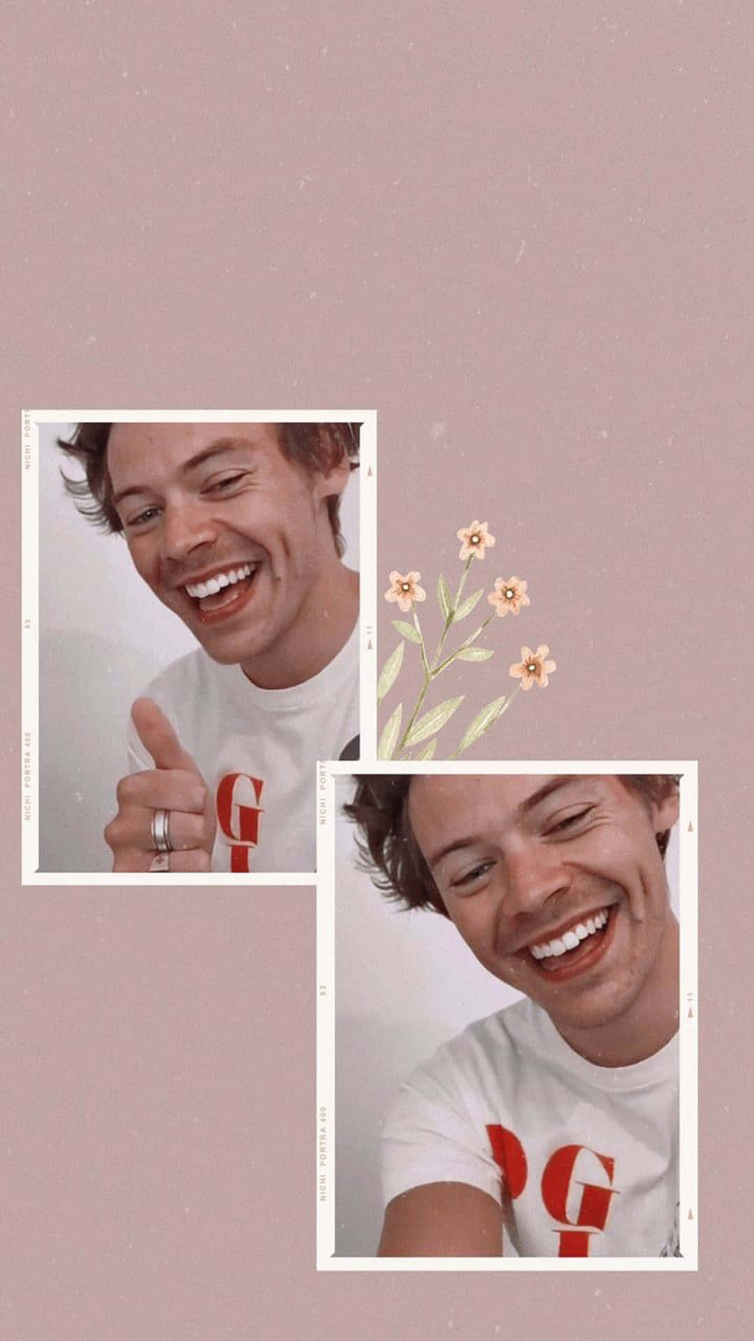 Download Harry Styles In His Element Wallpapers Com