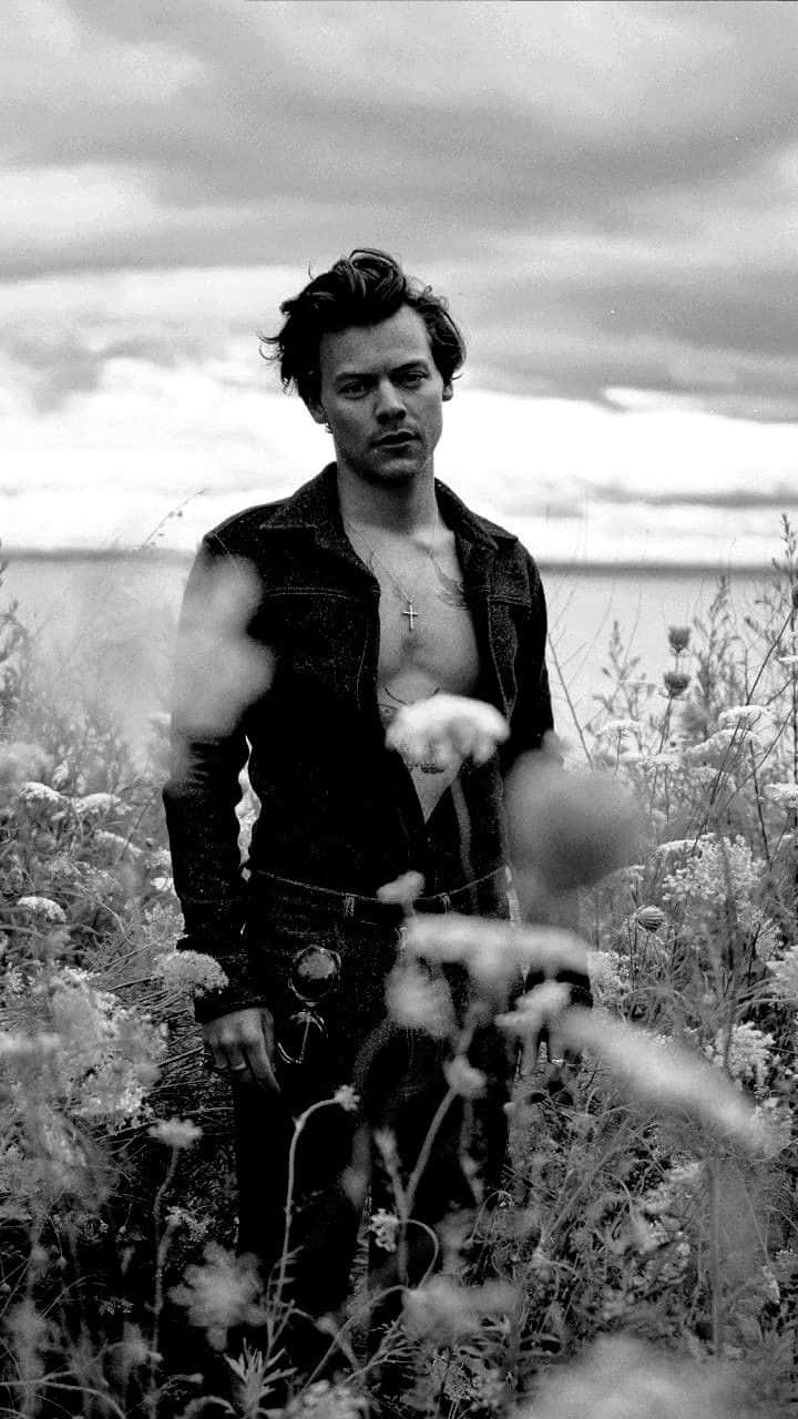 Flower Field With Harry Styles Black And White Wallpaper