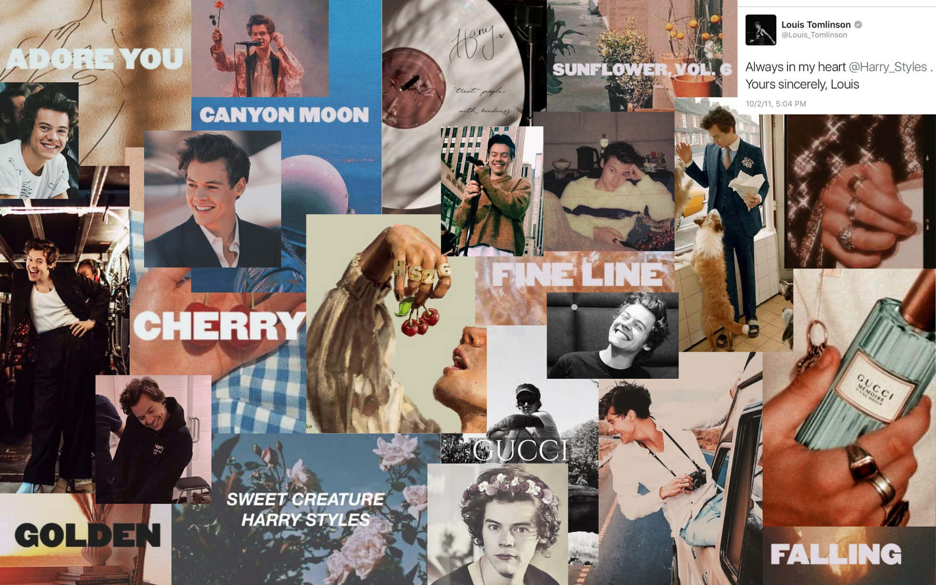 "Young and Fabulous: A Look into Harry Styles' Rising Career" Wallpaper