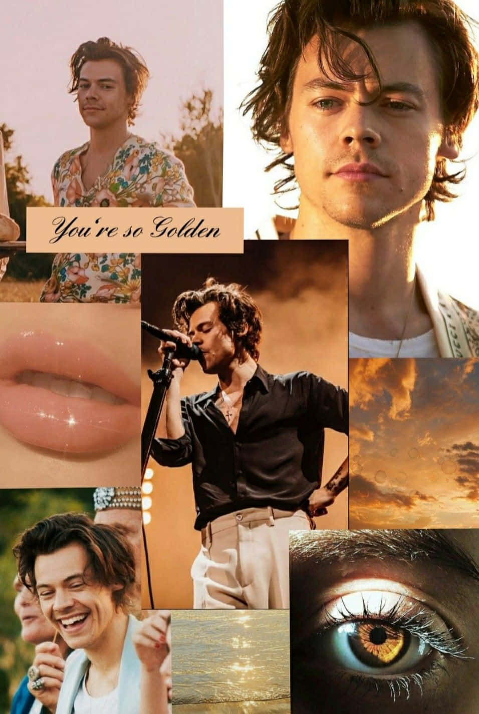 Dubist So Golden - Harry Styles Collage Wallpaper