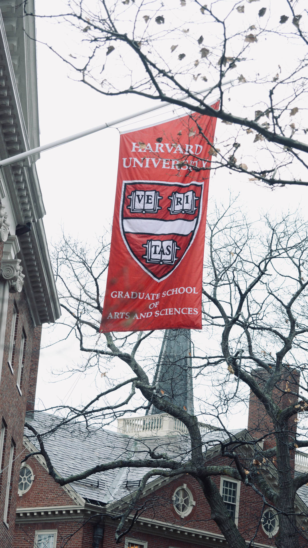Harvard University Red Banner Wallpaper