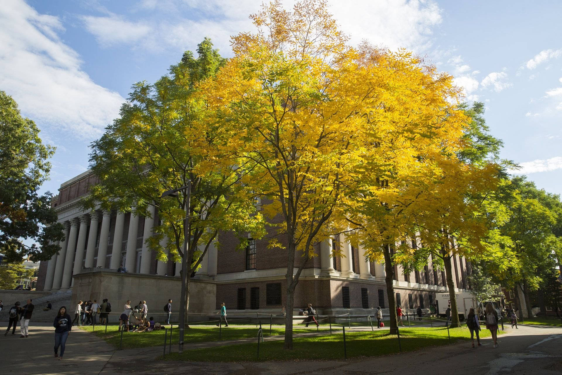 Harvarduniversity Yard Träd. Wallpaper