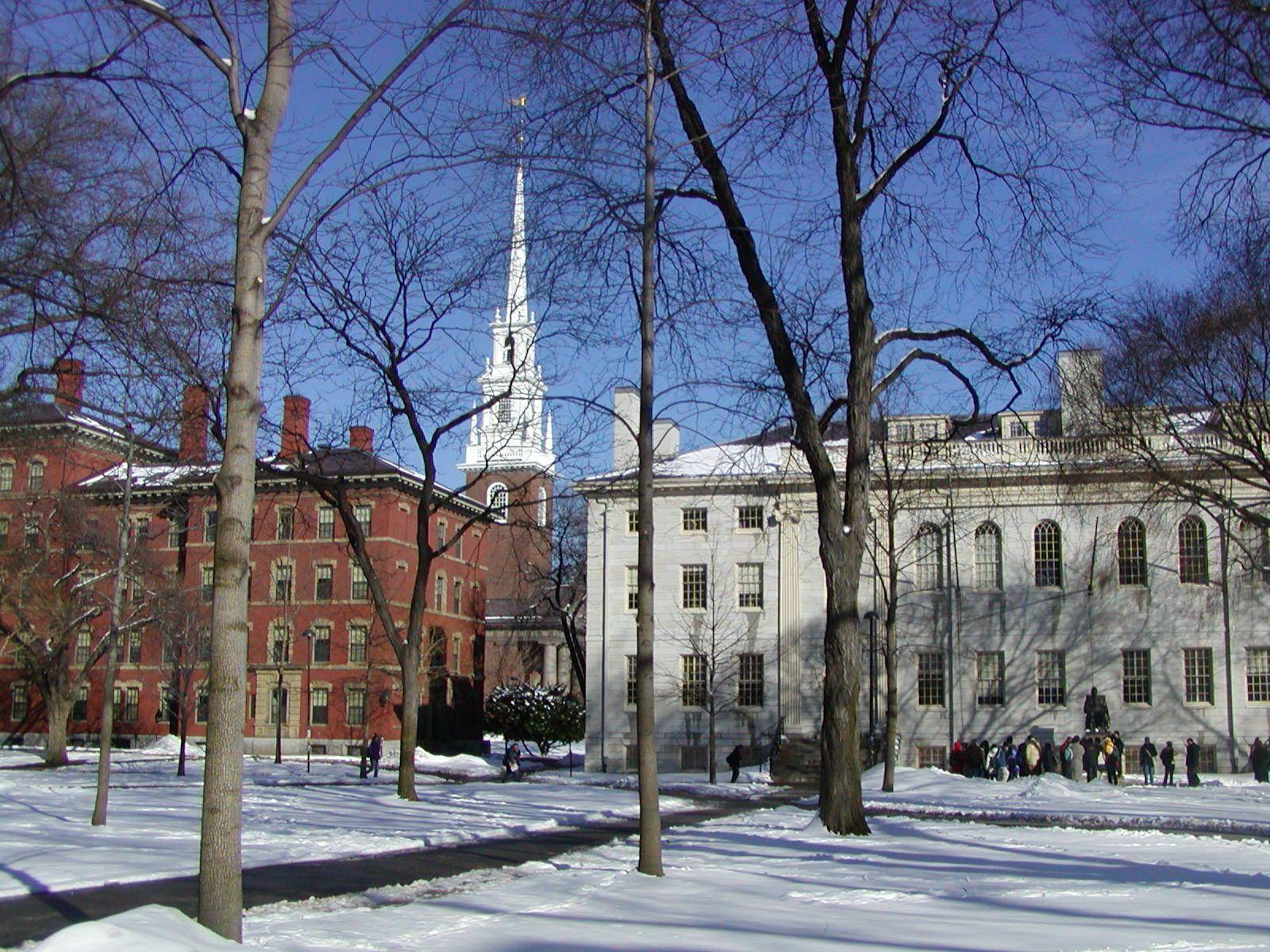 Free Harvard University Background Photos, [100+] Harvard University  Background for FREE 