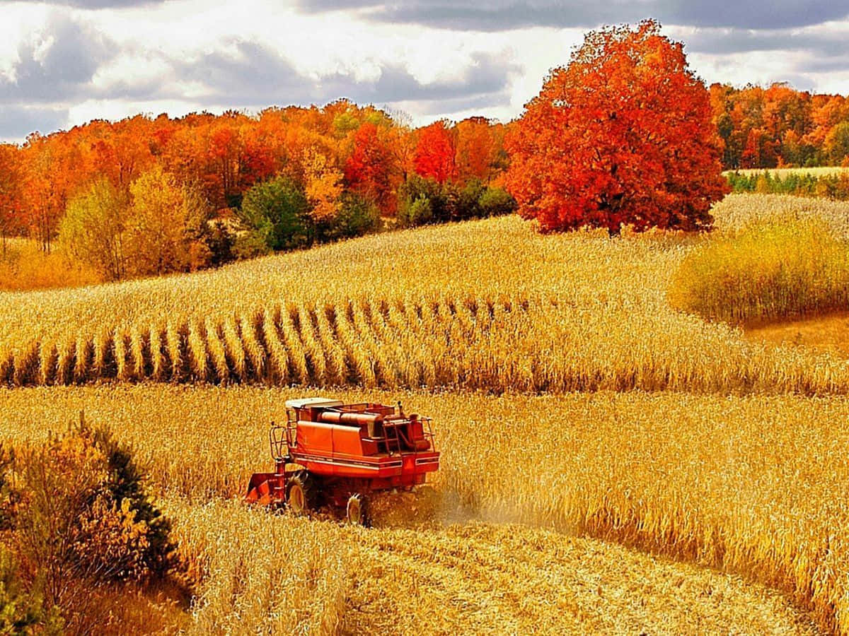 Picturesque Harvest Time Scene Wallpaper