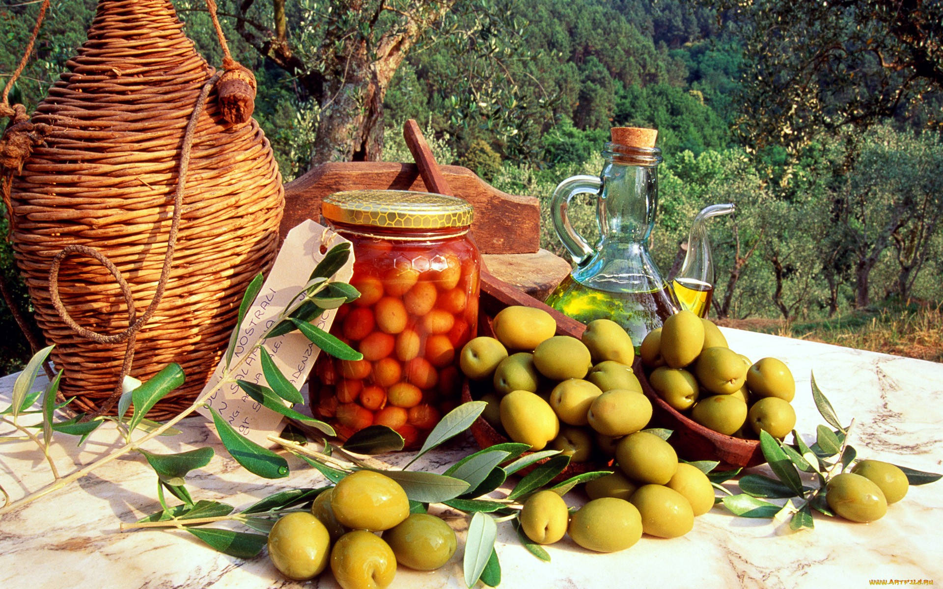 Harvest Time Olive Fruit Wallpaper