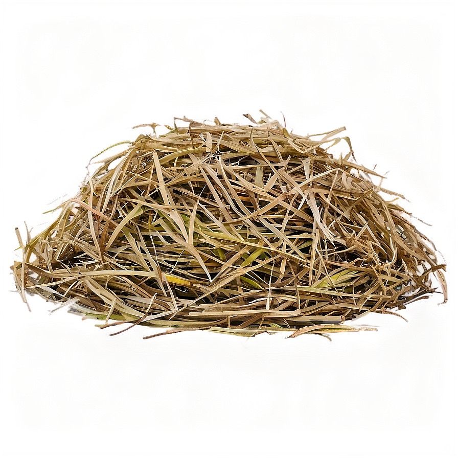 Harvested Hay Circle Png Xml37 PNG