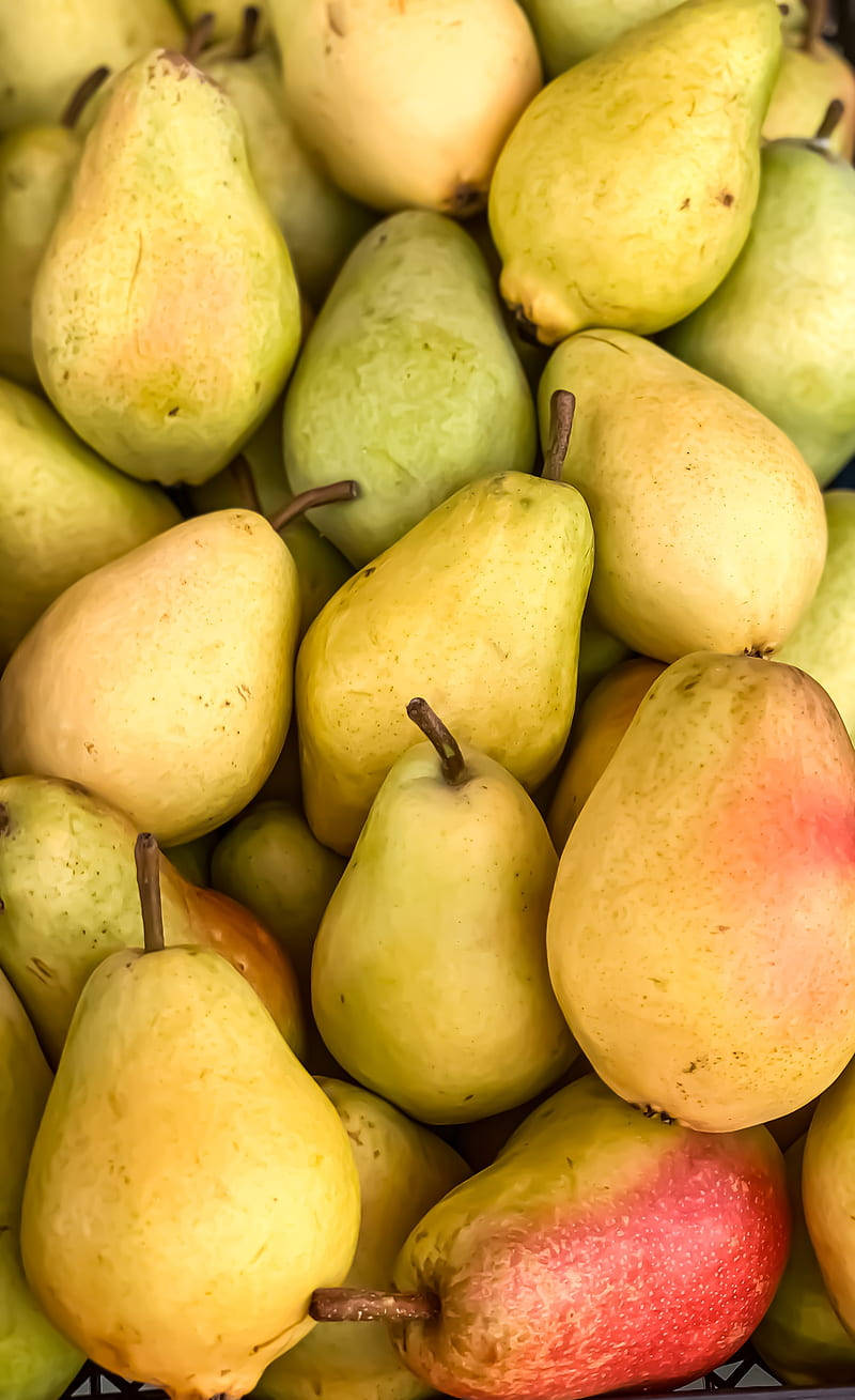 Harvested Pear Fruits Wallpaper