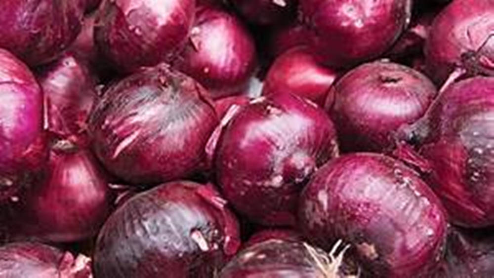 Close-Up Shot of Harvested Red Onions Wallpaper